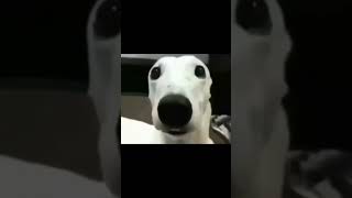 Comentarios DIABÓLICOS de Instagram Reels 🥀🥀