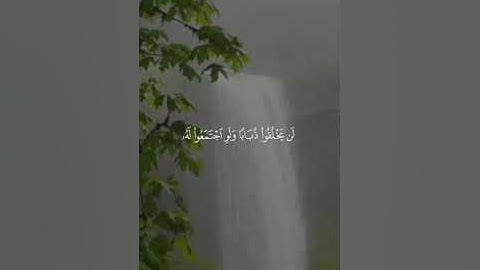 الشيخ بدر التركي وتلاوة رائعه  (يا أيها الناس ضرب مثل فاستمعوا له)
