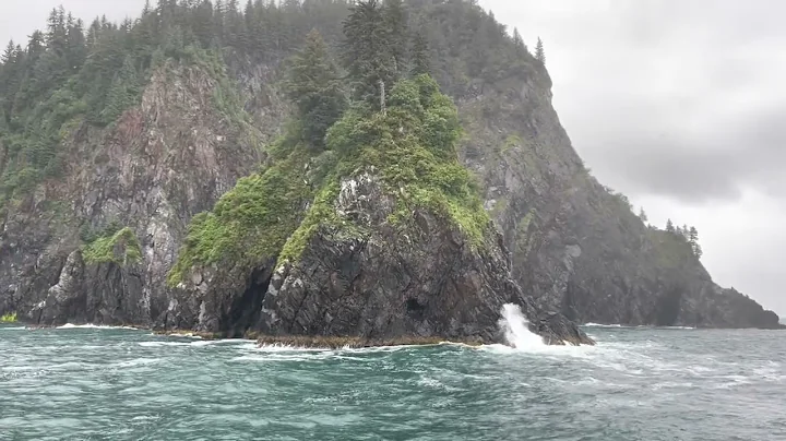 Resurrection Bay August 12, 2022