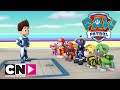 PAW PATROL | Uçan Köpekçikler | Cartoon Network Türkiye