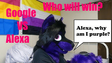 Asking Alexa And Google Furry Questions