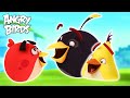 Angry Birds Every Laugh Ever