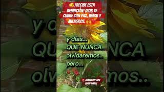Bendición divina para ti 🙏Dios te llena de paz y victorias hoy. #reflexion #amor #diostebendice #fe