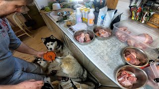 После этого собаки будут есть овощи как мясо. Рабочий способ приучить собаку есть овощи