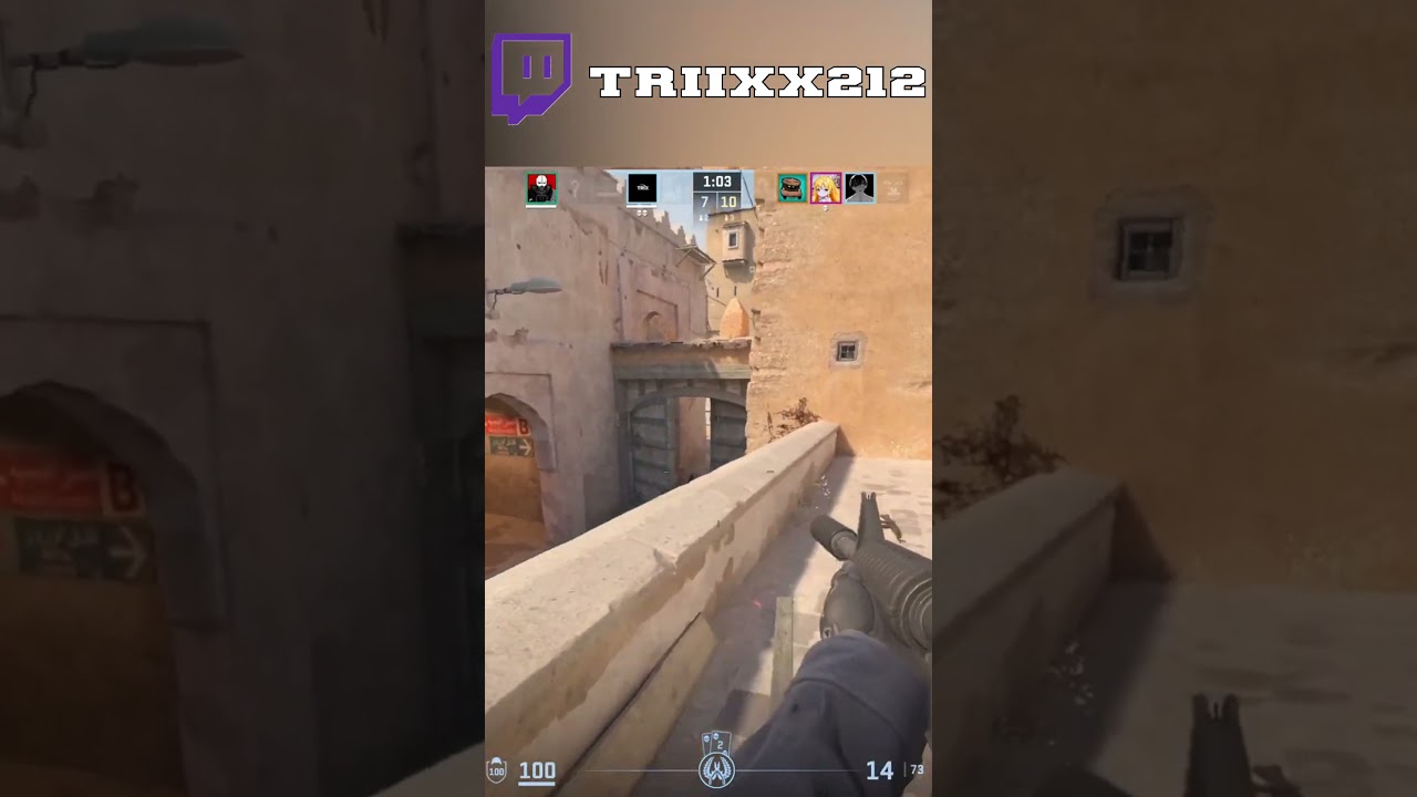 streaming everyday on twitch 