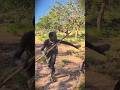 The Ancient Forests of Africa and the Hadzabe Hunters.#viralvideo #wildlife #shorts