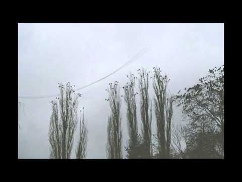 Vikki Jackman — Vikki Jackman - Wrapped in Whitenesses