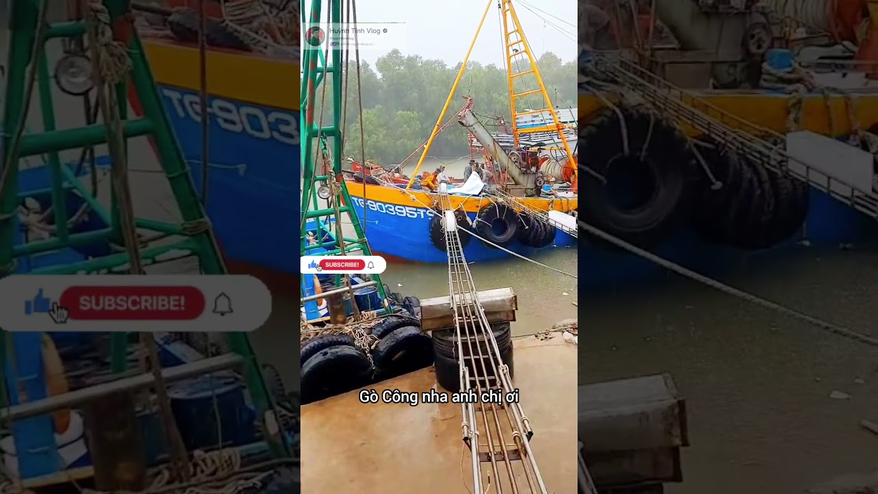 Quy trình vận chuyển đá cây lên tàu cá ở miền Tây #shorts