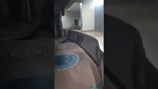 Hotel Worker Hides As Massive Croc Sneaks Into Kitchen #shorts