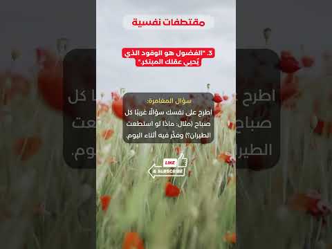 الفضول قاتل الروتين ماذا لو استطعت تغيير حياتك بسؤال فضول إبداعي أسئلة غريبة تحدي اليوم