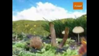 Fouad GHANEM ..loukan ydoum.flv
