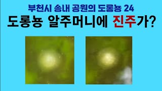 부천시 송내 공원의 도롱뇽 24. 도롱뇽 알주머니에 진주가?; Korean salamander 24. Pearl in a salamander egg sac? by 이덕하의 진화심리학 54 views 2 weeks ago 58 seconds
