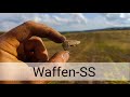 ✅ Коп на позиціях Waffen-SS Коп по війні WW2 №56