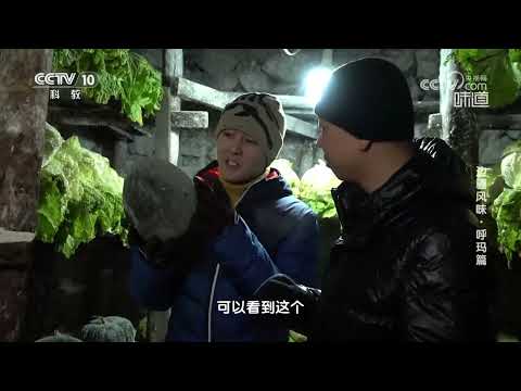 呼玛人用地窖储藏食材《味道》20240309 | 美食中国 Tasty China