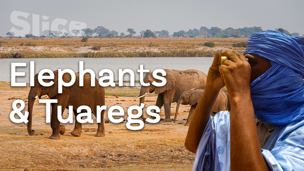 Documentary backdrop image for Living with elephants: A territory to share (2022)