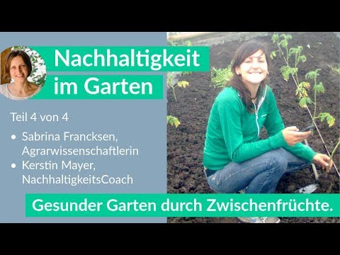 Video: Was sind mehrjährige Hülsenfrüchte: Wie man mehrjährige Hülsenfrüchte im Garten anbaut