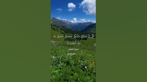 تلاوة هادئة مريحة/قل إن صلاتي ونسكي.../ سورة الأنعام  بصوت أبي المنتصر حالات واتس اب/تلاوة مؤثرة