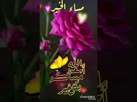 دعاء المساء مساء الخير مساء الورد دعاء مساء الخير حالات واتساب دينية 
