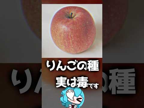 リンゴの種、実は毒　#雑学　#毒　#リンゴ　#shorts