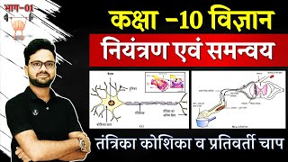 अध्याय-06 नियंत्रण एवं समन्वय Control and Coordination | तंत्रिका कोशिका Nerve Cell व प्रतिवर्ती चाप