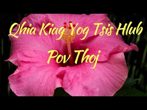 Qhia Kiag Yog Tsis Hlub - Pov Thoj **Best Viewed on Mobile**