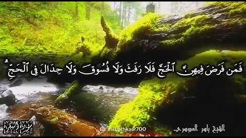 (الْحَجُّ أَشْهُرٌ مَّعْلُومَاتٌ ۚ) القارئ ياسر الدوسري