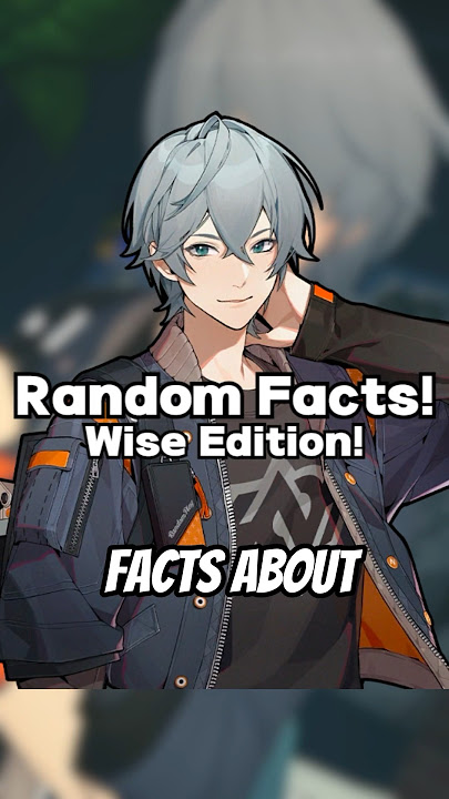 RANDOM Wise Lore Facts! Zenless Zone Zero