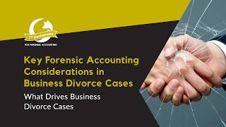 What Drives Business Divorce Cases | Fox Forensic Accounting