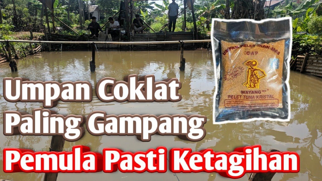 Umpan Coklat Ikan Mas | Pelet Wayang Tuna Kristal 
