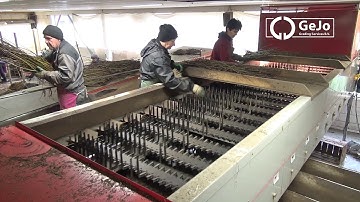 GeJo Grader with conveyers 12 exits