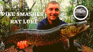 Testing Savage Gear Rat Lures for the Ultimate Pike Fishing