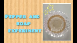 Pepper and soap experiment | Easy science experiment to do at home | Science experiment for kids