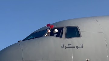 GLOBALink | Chinese giant pandas arrive in Qatar on 1st trip to Mideast