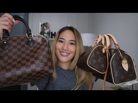 Is THIS the only LV bag YOU NEED? ⭐ NEW⭐ Louis Vuitton SPEEDY 20