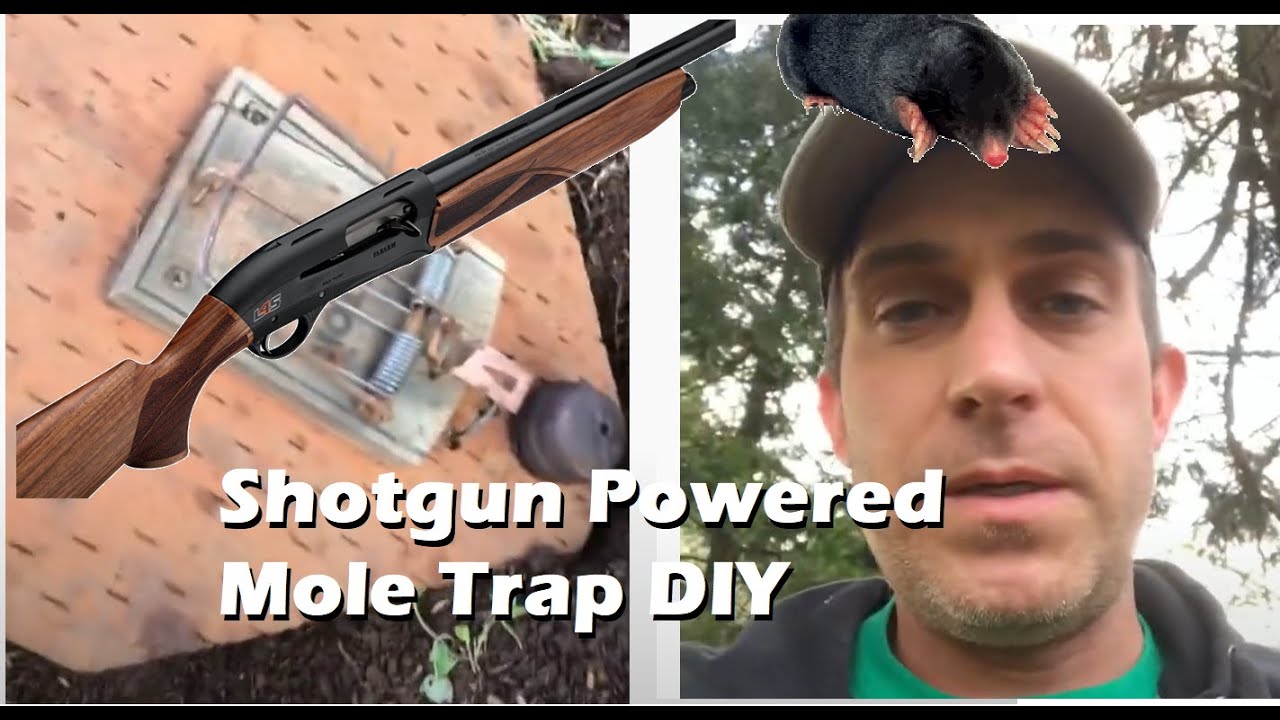 Mole blaster! DIY shotgun shell powered mole trap. Don’t try this at