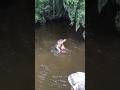Si Botak Pemberani #short #mancing #buaya #aligator
