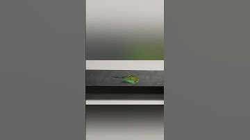 سورة النازعات