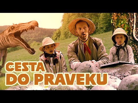 Video: Fashion Zoo: doplnky pre zvieratá na jar-leto