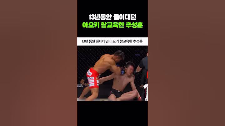 13년동안 들이대던 아오키 참교육한 추성훈