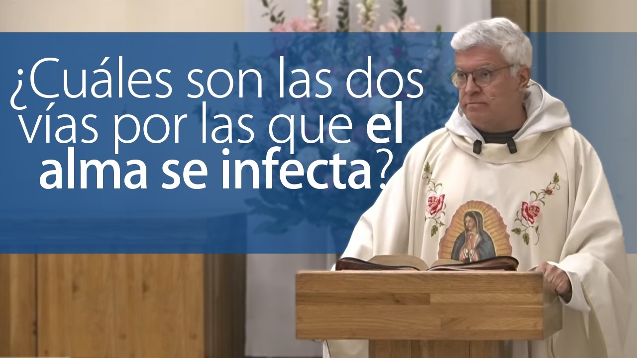 ¿Cuáles son las dos vías por las que el alma se infecta?