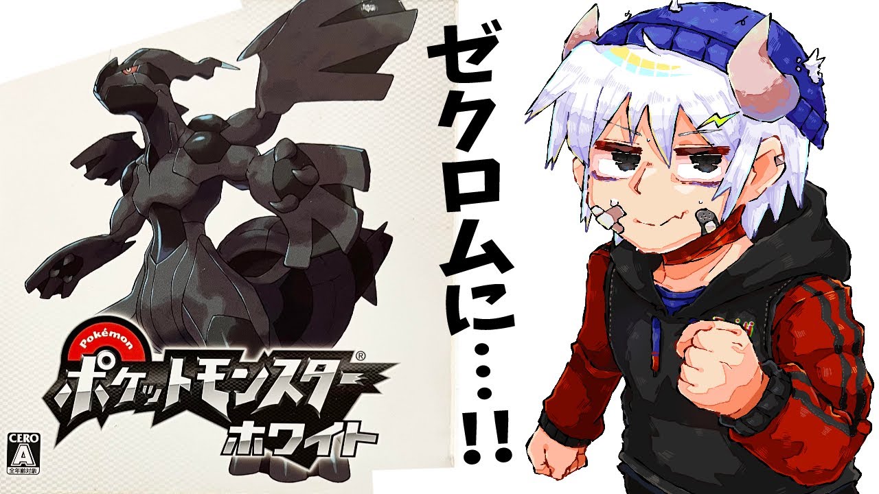 ゼクロムに…！！初見ポケモンBW！！【ポケモンブラック・ホワイト】 #2