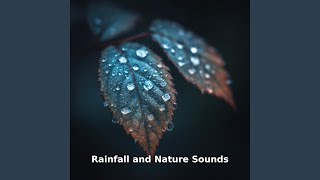 Rainfall Nature Sound Drift, Pt.9