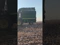 Picking Cotton