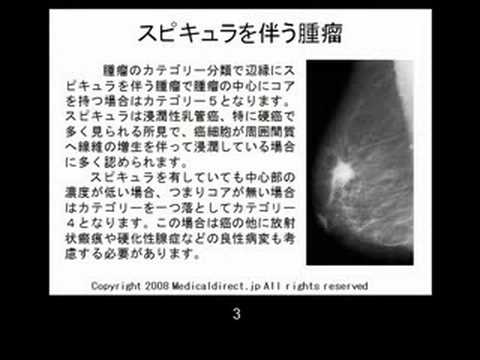 構築 の 乱れ 原因