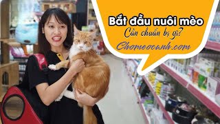 Shop bán đồ cho mèo giá rẻ gần đây. Phụ kiện vật dụng, đồ dùng cần thiết nuôi mèo | Chomeocanh.com