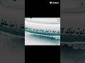 مادام الموت مؤكد لا تعيش جبان ضل ازحف على النسوان 2022 كبرياء رجل ستوريات انستا غرور رجال غرور