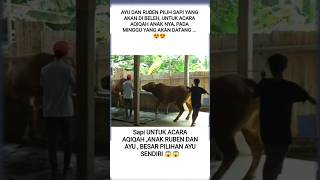 RUBEN DAN AYU PILIH SAPI UNTUK ACARA AQIQAH ANAK PERTAMA NYA .... #new