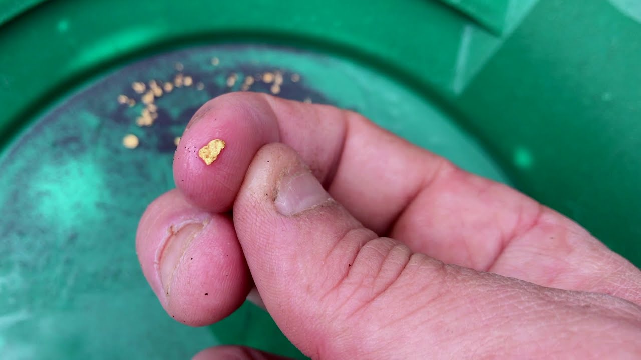 HOW SENSITIVE IS THE GOLD MONSTER 1000!! Crevicing Metal Detector - YouTube