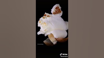 #macro #microscope #zoom #foryoupage #macrofying #food #popcorn #sweet