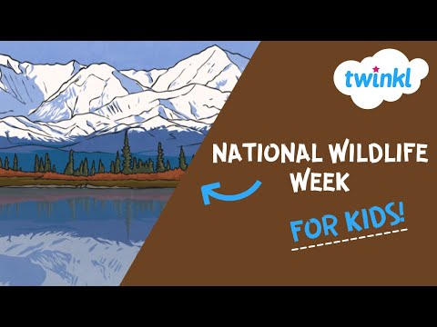 ⁣5 activities for National Wildlife Week for kids!